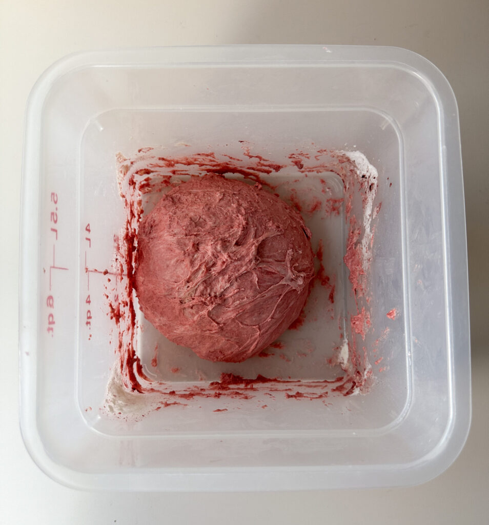 Add the flour and salt and mix to form a rough dough