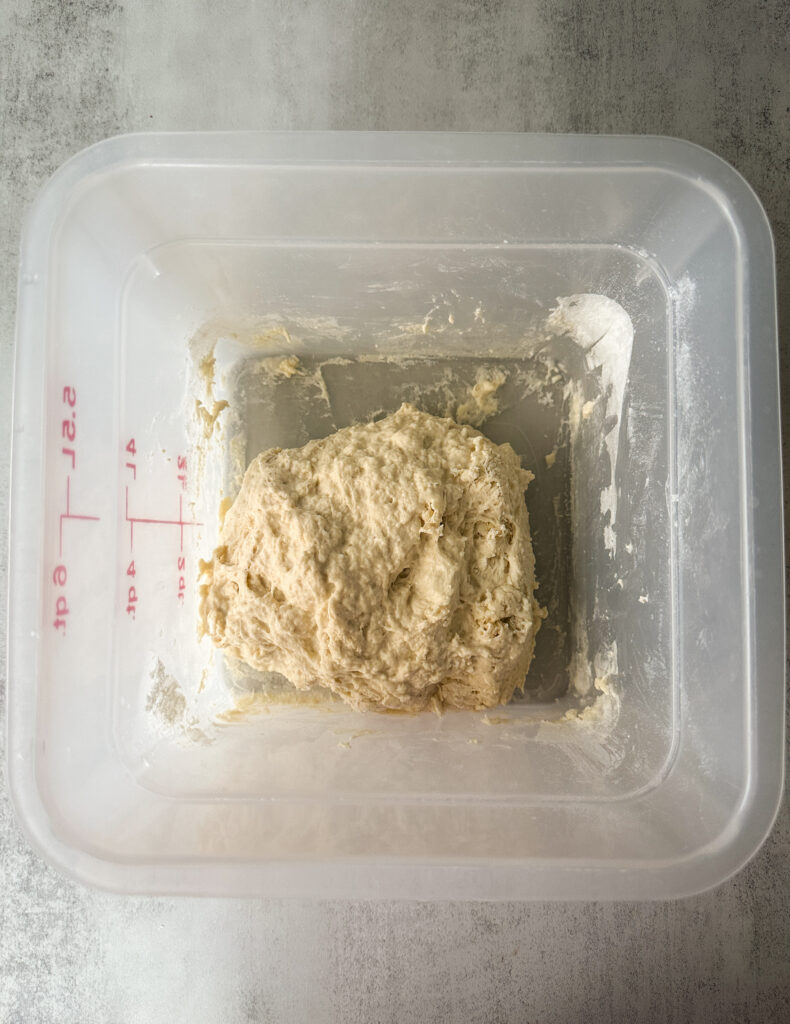 Add the flour and salt and mix to form a rough dough