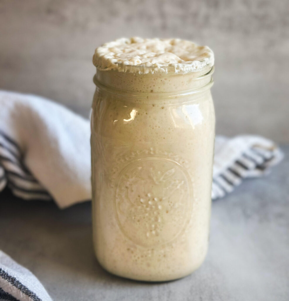 The Beginner's Guide to Making Sourdough Starter from Scratch