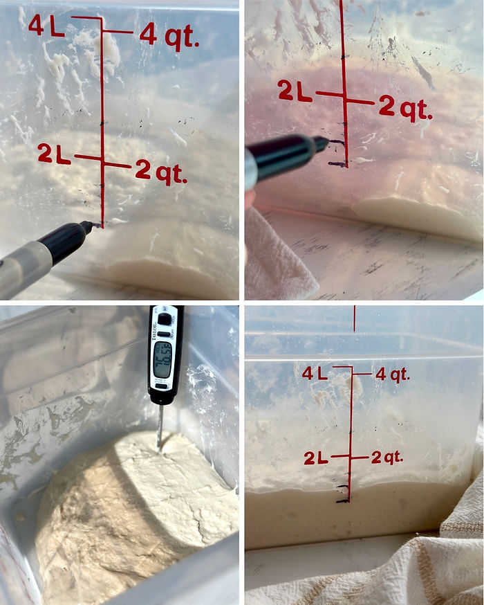 How to mark the volume for your bread to rise
