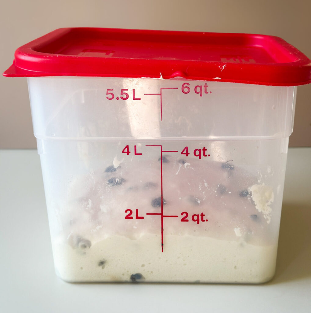 Dough after bulk fermentation is finished