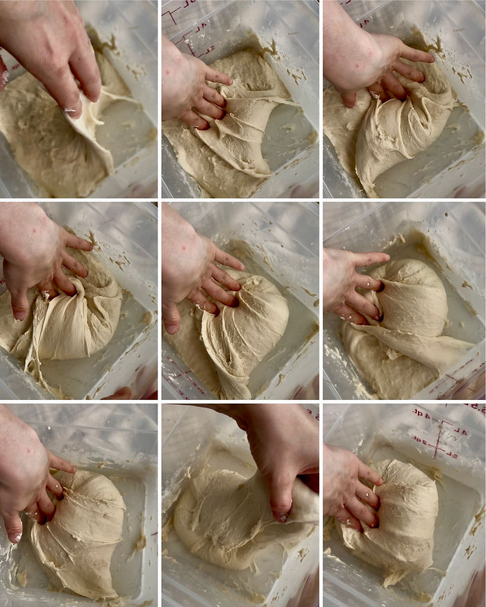 Have you ever forgotten to start your sourdough bread the day before or maybe have an unplanned dinner you need to make a loaf for quickly? Well, this Beginner No-Knead Artisan Sourdough Loaf (Same-Day Option) is the recipe for you!
This recipe is a great way to practice making artisan loaves while still enjoying fresh bread the same day. While many sourdough recipes require an overnight proof, this version allows you to mix, ferment, shape, and bake all in one day, with an optional cold proof for enhanced flavor. This is recipe is approachable and will yield delicious light bread same-day if needed!
If you’re new to sourdough, this recipe keeps things simple with clear steps, easy shaping, and minimal equipment.
Now let's get started!
Tools You’ll Need:
• Digital kitchen scale- for weighing out your ingredients (highly recommended for accuracy). This one linked here is great to start with https://amzn.to/41ADLXw
• Measuring cups & spoons (optional, if you prefer to not use a scale)
•Bowl or straight edge container for mixing and proofing dough- to mix your dough and make sure your dough is rising properly. You can use a clear square Tupperware for this, I don't recommend a bowl as it is hard to assess your rise. I've linked here the container I like to use https://amzn.to/3R20Qwl.
• Bench knife (optional)- for shaping loaf. I use this one all the time https://amzn.to/41pGqlk
• Banneton basket (or a medium bowl lined with a lint-free cloth)- to proof dough. I've linked a quality banneton and cover here if you'd like to see what I use https://amzn.to/4h4kFO6
• Lint-free cloth or plastic wrap- to cover the dough while resting
• 5-quart Dutch oven with lid- for baking your loaf. This is an affordable 5-quart Dutch oven that I purchased as my first linked here https://amzn.to/3EVhryP.
Note: you can also use a 9-inch cast iron skillet with a fitted stainless-steel bowl over the top to bake your bread if you aren't quite ready to purchase a Dutch oven.
• Parchment paper or silicone bread sling- To keep bread from sticking to Dutch oven. A reusable bread sling can be really convenient and also helps avoid burning hands on your Dutch oven. I use this set all the time https://amzn.to/3Dnn1cQ.
• Sharp knife or lame for scoring- a sharp knife will work for scoring your bread, but I do recommend investing in a lame (razor blade) which will make the process much easier. Here is a great lame to purchase to start out https://amzn.to/4i0JqM6.
Digital food thermometer (optional) - to check the temperature of your starter and dough, this ensures a more reliable result. I use this one linked here https://amzn.to/3XoLLbC
Bread Knife- for cutting your bread once cooled. I love this bread knife linked here https://amzn.to/41BktkS.
As an amazon affiliate, this post may contain affiliate links. Which means I may receive a commission for qualifying purchases. I will only recommend products that I personally love and use.
Gather Your Ingredients:
Flour- To make this process simple, my recommendation is to start off using high protein (high-gluten) flour. Why? Because this flour has the highest gluten percentage to best support the ideal structure and high nutrients needed to support a fast active fermentation process. Typically you'll see a protein percentage on the bag of flour, I recommend using flour between 11-12% protein (gluten).
Water- Water hydrates the flour, activating enzymes that break down starches into sugars. These sugars then feed the wild yeast and lactic acid bacteria, creating more fermentation in your bread. It is best practice to use water that is free of chlorine, which can inhibit the microbes. Filtered water, spring water, and non-chlorinated tap water are all fine options to use.
Salt- any high quality sea salt is fine to use in your bread. I typically use Redmond Sea Salt, I recommend staying away from iodized salt as it can inhibit yeast and bacteria development.
Raw Honey- honey is a wonderful ingredient in sourdough to slightly sweeten the loaf and attracts and retains moisture which helps keep bread softer for longer time periods. If needed, you can substitute with sugar.
Now let's bake!
Instructions:
Step 1: Feed Your Starter Night Before Baking
Baker's Schedule: 8:00 PM
To ensure a bubbly and active starter, feed your starter the night before baking.
Use a 1:5:5 ratio to feed your starter (this means one part mature mother starter, five times the water, five times the flour).
Mix flour and water in a jar with a spatula, cover loosely with lid, and mark the volume of the starter in your jar with a rubber band or piece of tape and marker. Let starter sit at room temperature (70-75 degrees) overnight until bubbly and doubled in size.
Starter should be bubbly and double in size before using in your bread recipe
Note: Adjusting your feed ratios depending on temperature will help ensure you have properly proofed starter to use in the morning. If you add less mother starter to your feeds, it will take longer to rise. if you add more, it will rise faster. You can adjust this to fit your environment and schedule, this is meant to be a guideline. If you aren't sure what temperature your starter is, you can use a meat thermometer and check it. Most usually though, starter acclimates to being the temperature of its environment (your home).
Step 2: Make the Dough
Baker's Schedule: Day 1- 8:00 AM
1. Combine Ingredients:
In a large bowl, mix the 100g active starter, 360g water, 25g honey, 10g salt, and 500g flour. Stir and knead with your hand until all ingredients are combined into a shaggy dough. Cover with a damp towel or plastic and let it rest for 30 minutes at room temperature (70-77 degrees).
2. Stretch and Folds:
After the rest, begin your stretch and folds. This helps build structure in your dough.
Starting at the edge of the dough with wet hands, gently lift one edge of the dough, stretch it up, and fold it over the center. Rotate the bowl 90 degrees and repeat with the next side. Do this for all four sides of the dough to form a ball.
To perform stretch and folds, grab dough at the edge and fold in the center. Continue until you've formed a ball.