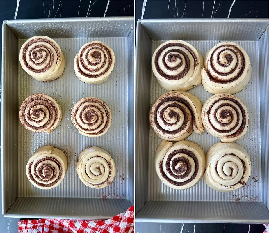 Buns before and after proofing