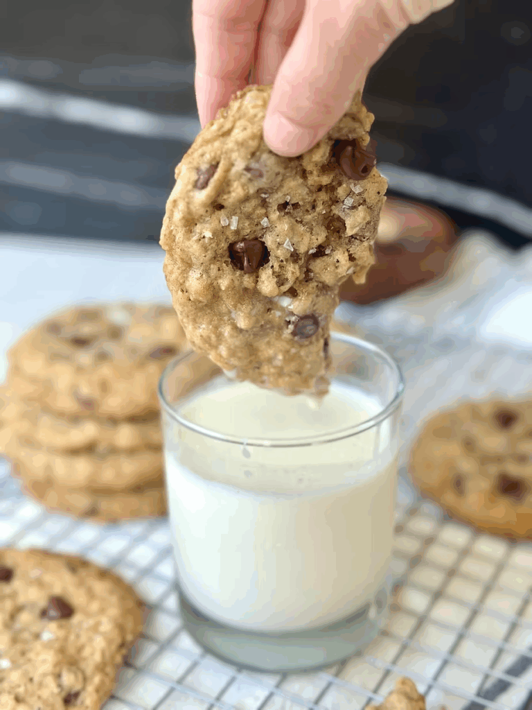 Sourdough Oatmeal Lactation Cookies