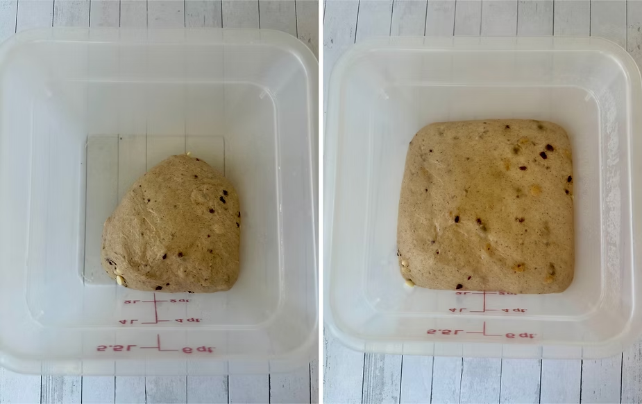 Bagel dough before and after proofing