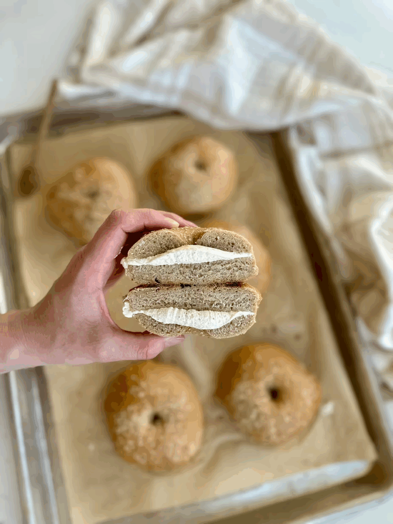 Sourdough Honey Wheat Bagels