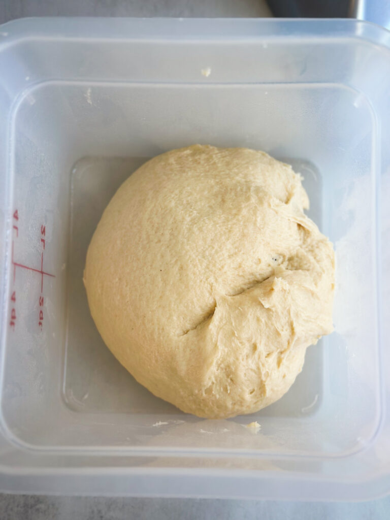 Transfer to an oiled container or bowl to proof