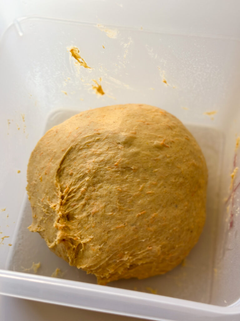 Transfer to an oiled container or bowl to proof