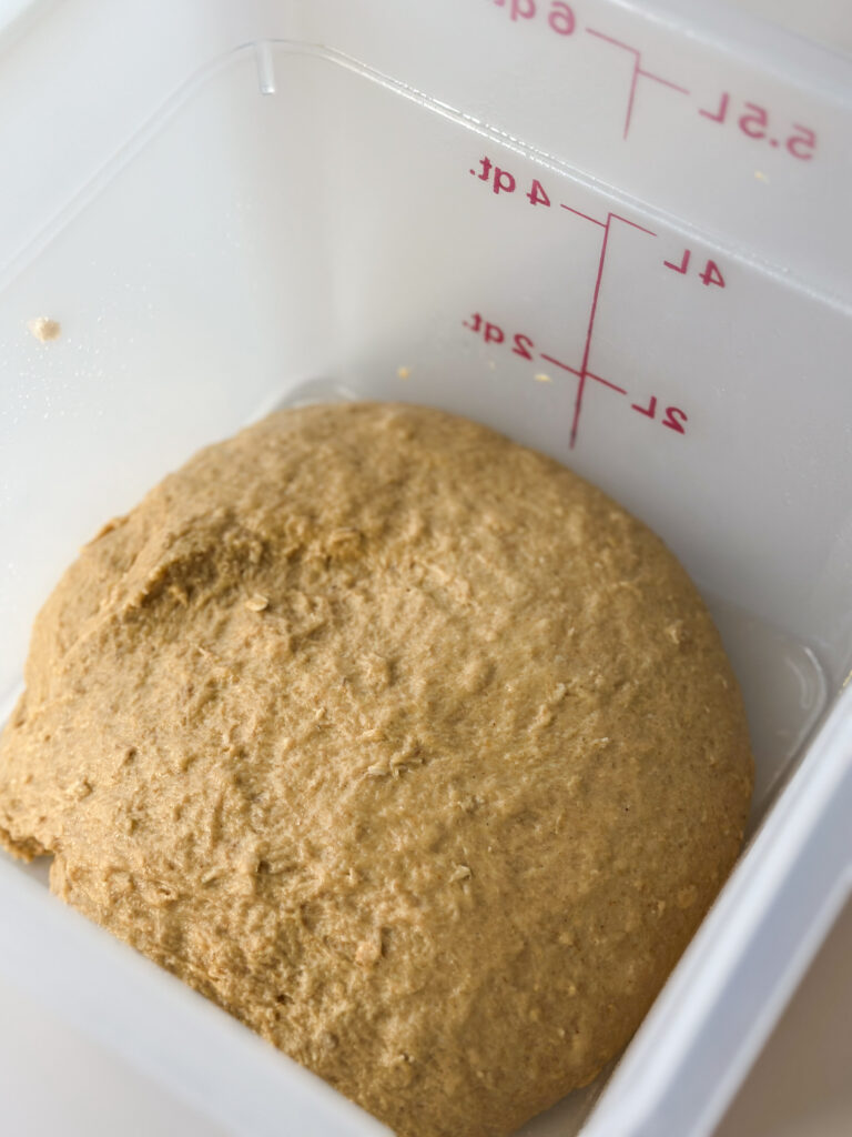 Dough after stretch and folds are done