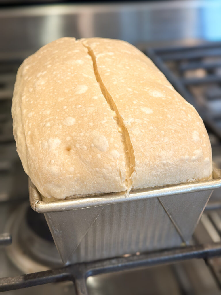 Score down the center after ten minutes of baking for expansion