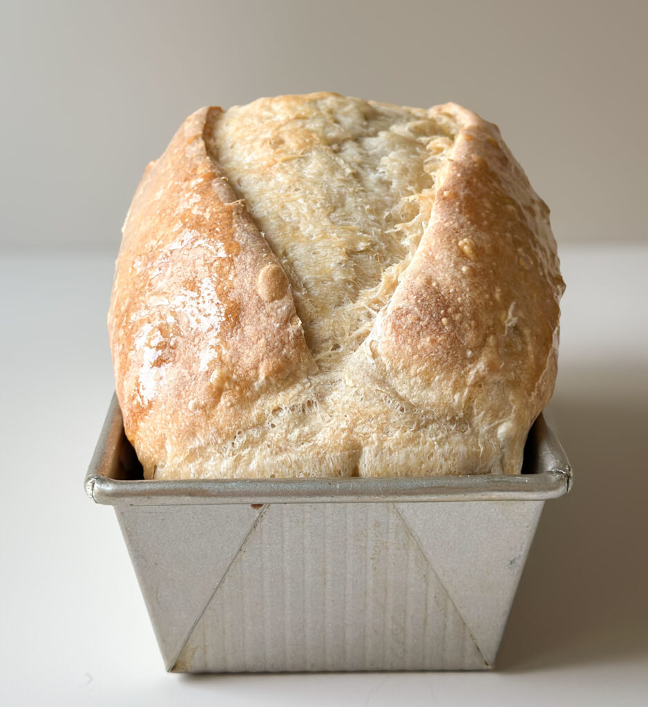 How to Use a Bosch Mixer for Sourdough Sandwich Bread